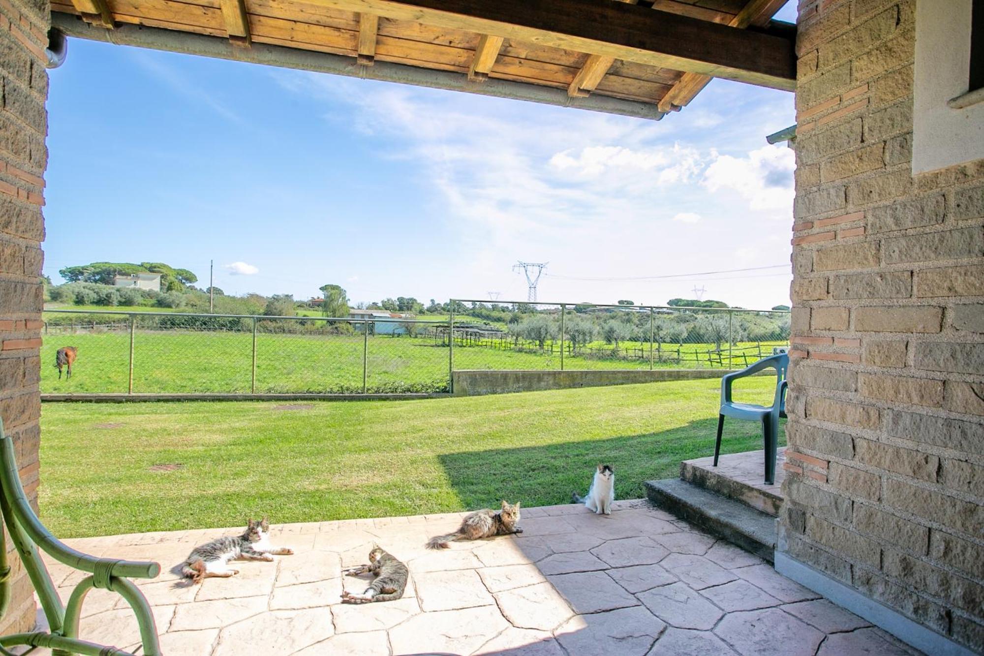 Agriturismo L.B.Stud Bracciano Kültér fotó