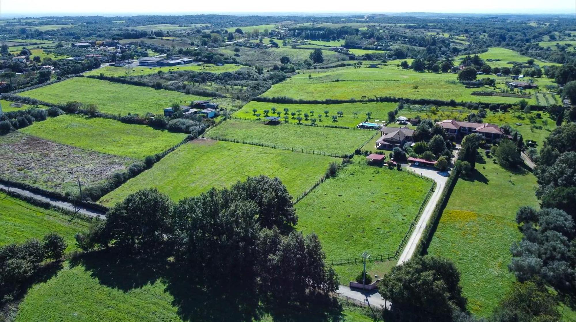 Agriturismo L.B.Stud Bracciano Kültér fotó